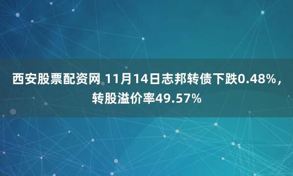西安股票配资网 11月14日志邦转债下跌0.48%,转股溢价率49.57%