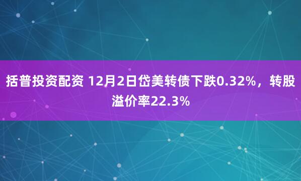 括普投资配资 12月2日岱美转债下跌0.32%，转股溢价率22.3%